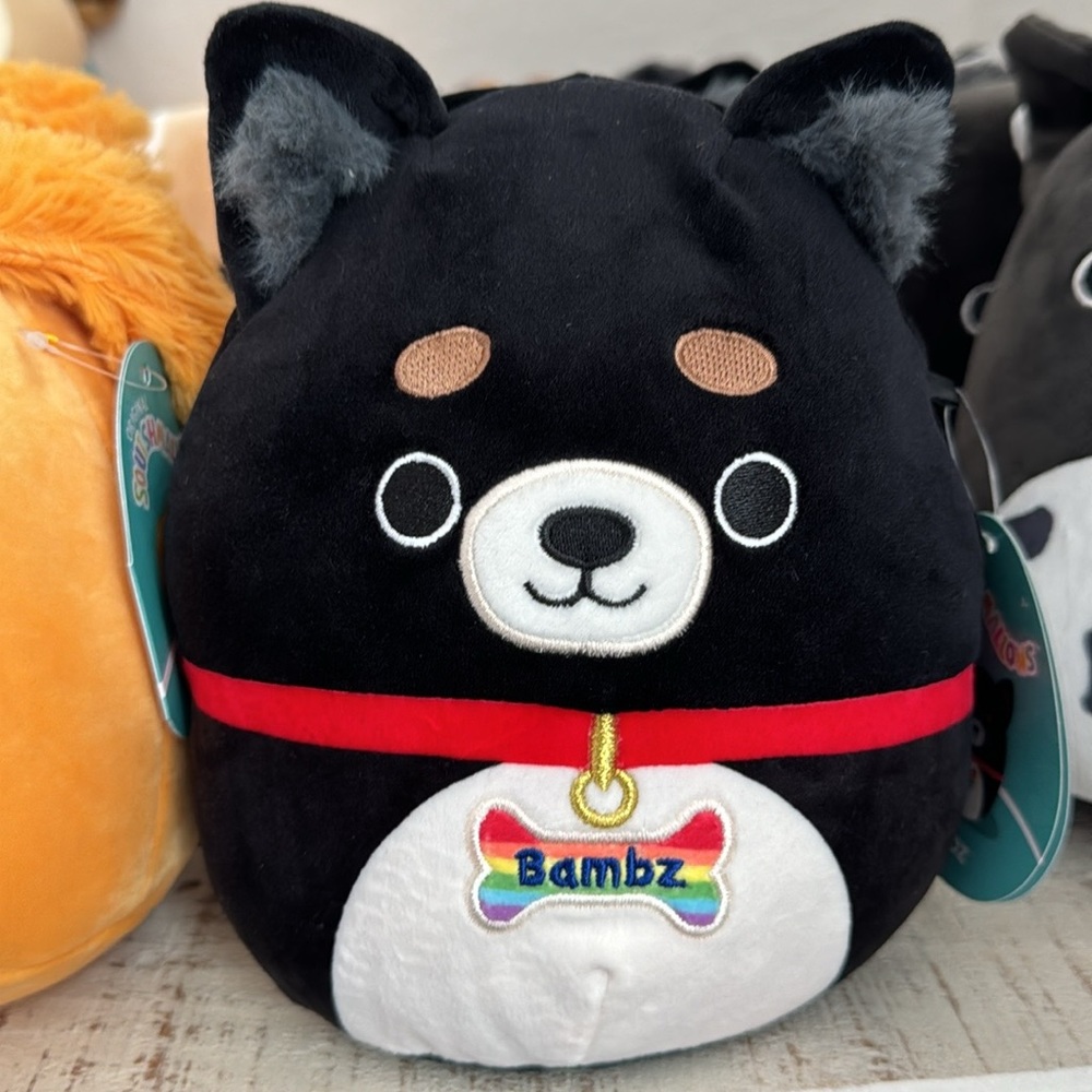 Squishmallow Bambz the Pomchi Dog NWT 7 inch